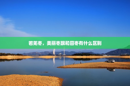 若羌枣，美丽枣跟和田枣有什么区别