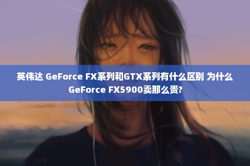 英伟达 GeForce FX系列和GTX系列有什么区别 为什么GeForce FX5900卖那么贵?