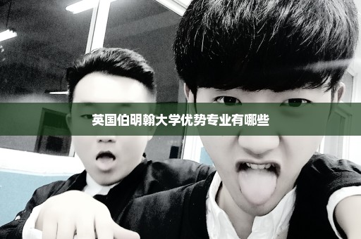 英国伯明翰大学优势专业有哪些