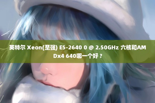 英特尔 Xeon(至强) E5-2640 0 @ 2.50GHz 六核和AMDx4 640哪一个好 ?