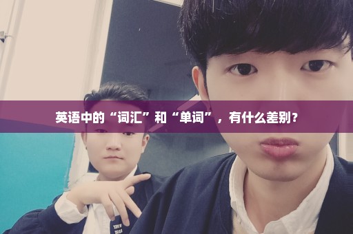 英语中的“词汇”和“单词”，有什么差别？