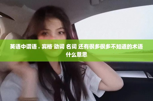 英语中谓语 . 宾格 动词 名词 还有很多很多不知道的术语什么意思