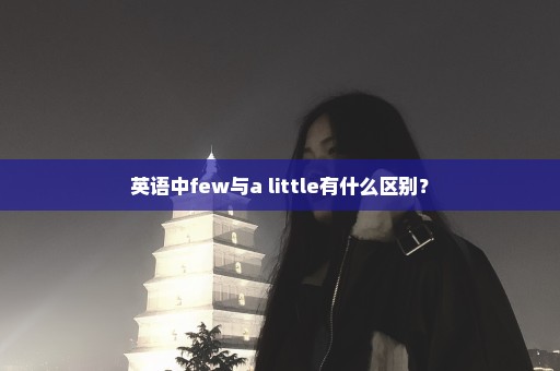 英语中few与a little有什么区别？