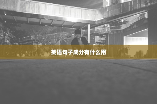 英语句子成分有什么用
