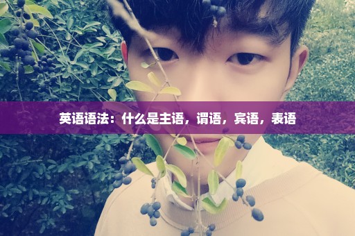 英语语法：什么是主语，谓语，宾语，表语