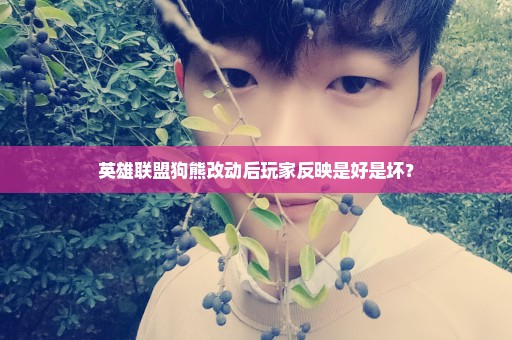 英雄联盟狗熊改动后玩家反映是好是坏？