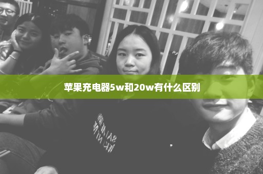 苹果充电器5w和20w有什么区别