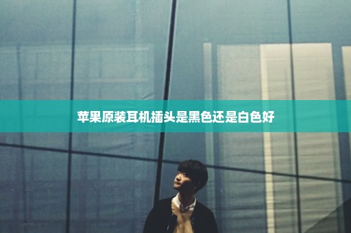 苹果原装耳机插头是黑色还是白色好