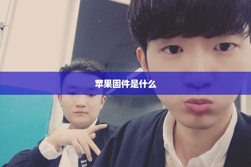 苹果固件是什么