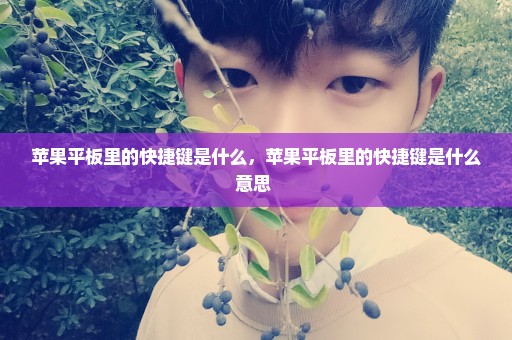 苹果平板里的快捷键是什么，苹果平板里的快捷键是什么意思 