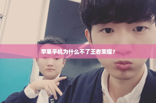 苹果手机为什么不了王者荣耀？