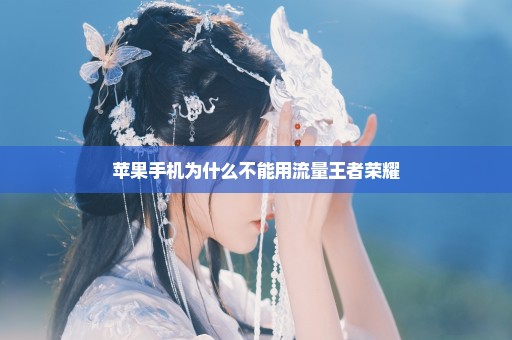 苹果手机为什么不能用流量王者荣耀