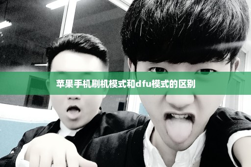 苹果手机刷机模式和dfu模式的区别
