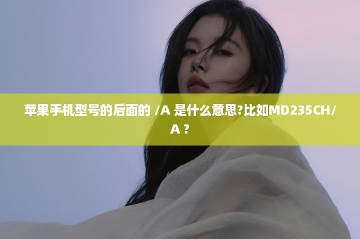 苹果手机型号的后面的 /A 是什么意思?比如MD235CH/A ?