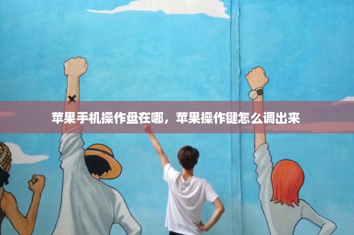 苹果手机操作盘在哪，苹果操作键怎么调出来 