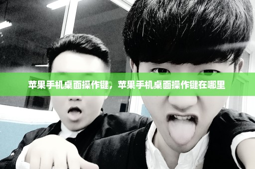 苹果手机桌面操作键，苹果手机桌面操作键在哪里 