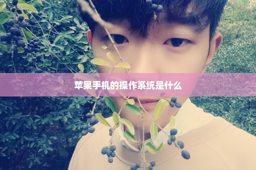 苹果手机的操作系统是什么