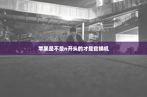苹果是不是n开头的才是官换机