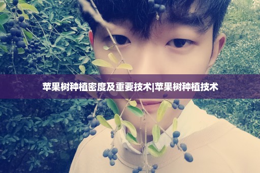 苹果树种植密度及重要技术|苹果树种植技术