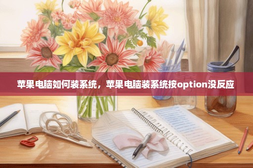 苹果电脑如何装系统，苹果电脑装系统按option没反应 