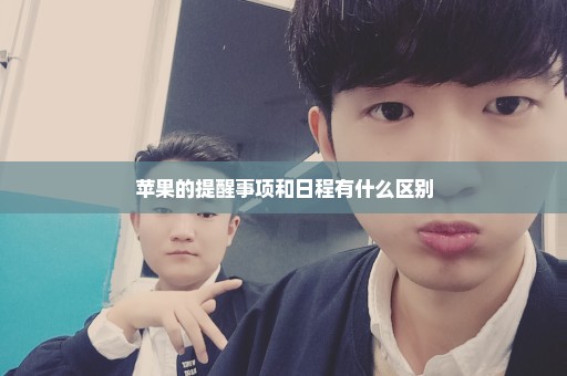 苹果的提醒事项和日程有什么区别