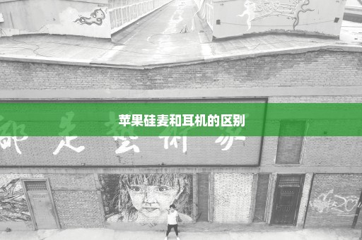 苹果硅麦和耳机的区别