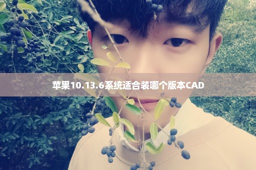 苹果10.13.6系统适合装哪个版本CAD