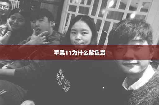 苹果11为什么紫色贵