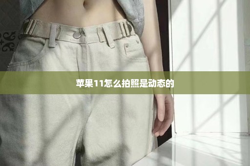 苹果11怎么拍照是动态的