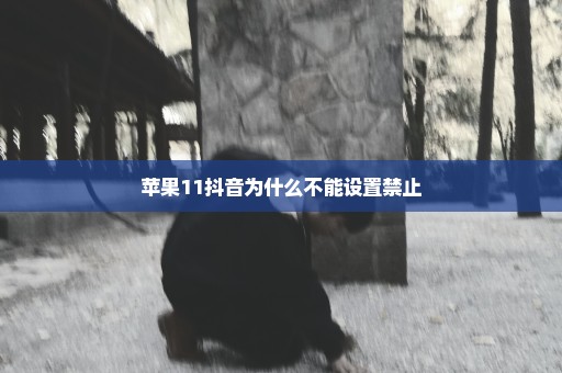 苹果11抖音为什么不能设置禁止