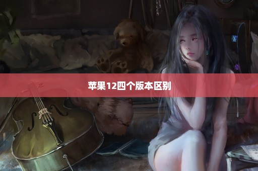 苹果12四个版本区别
