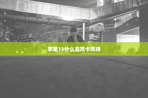 苹果13什么是双卡双待