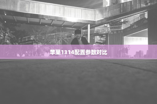 苹果1314配置参数对比