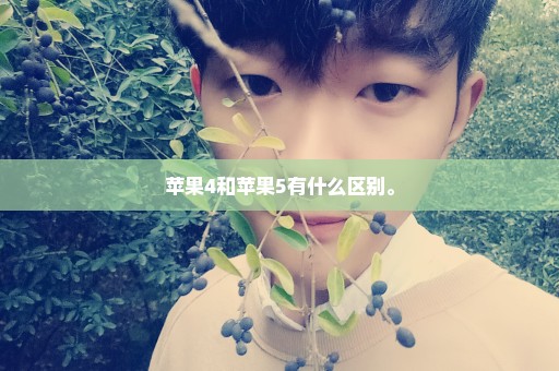 苹果4和苹果5有什么区别。