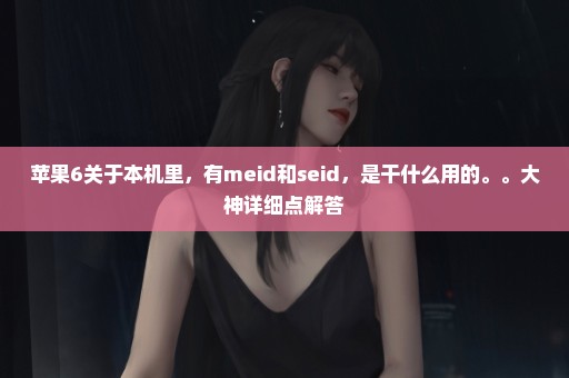 苹果6关于本机里，有meid和seid，是干什么用的。。大神详细点解答