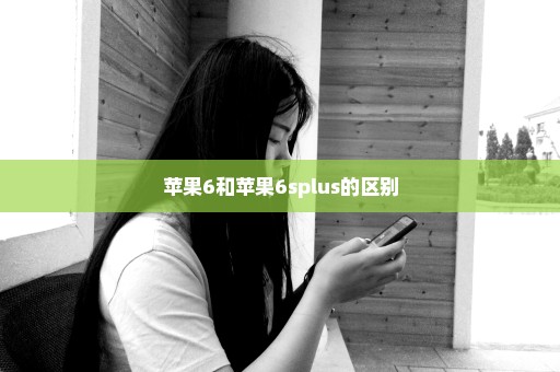 苹果6和苹果6splus的区别