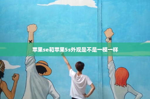 苹果se和苹果5s外观是不是一模一样