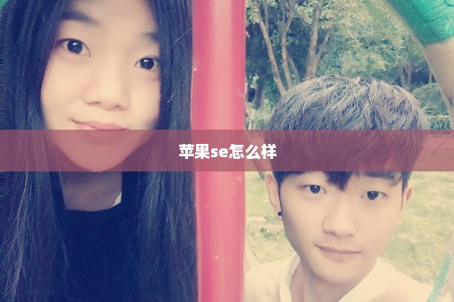 苹果se怎么样