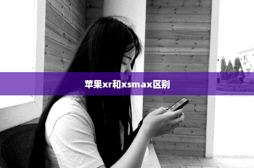 苹果xr和xsmax区别