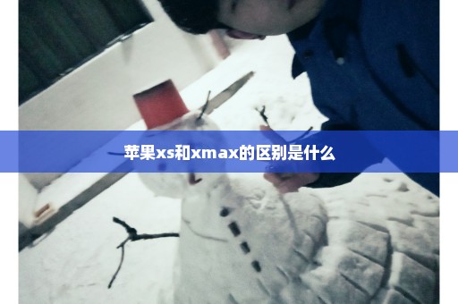 苹果xs和xmax的区别是什么
