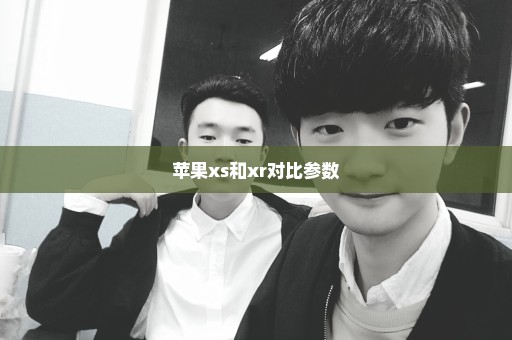 苹果xs和xr对比参数