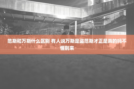 范斯和万斯什么区别 有人说万斯是盗范斯才正是真的吗不懂别来