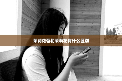 茉莉花苞和茉莉花有什么区别