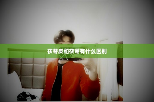 茯苓皮和茯苓有什么区别