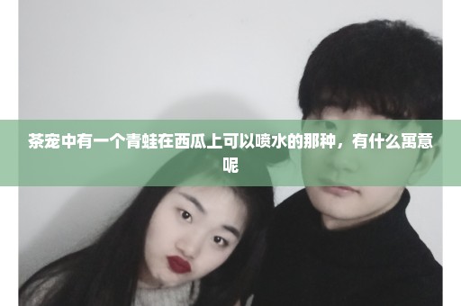 茶宠中有一个青蛙在西瓜上可以喷水的那种，有什么寓意呢