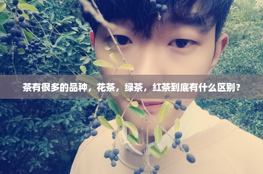 茶有很多的品种，花茶，绿茶，红茶到底有什么区别？