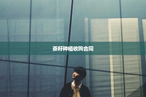 茶籽种植收购合同