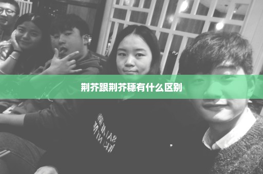 荆芥跟荆芥穗有什么区别