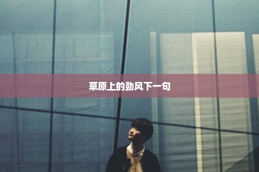 草原上的劲风下一句