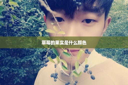 草莓的果实是什么颜色